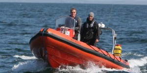 IWDG RIB on a basking shark survey