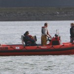 IWDG Consulting RIB