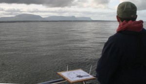 Visual Surveys