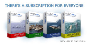 join-the-iwdg